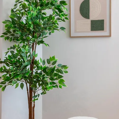 Diseno Y Comodidad En Bami * 세비야